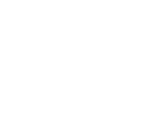 ENDOR logo blanco